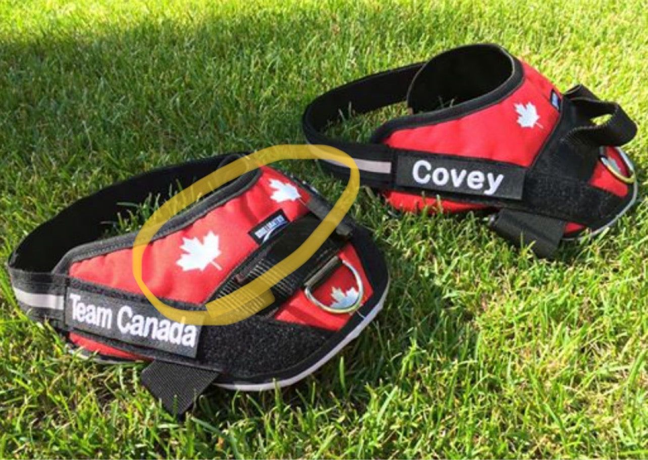 WAO Team Canada Embroidered Harness - BrilliantK9 -      -                                                                             