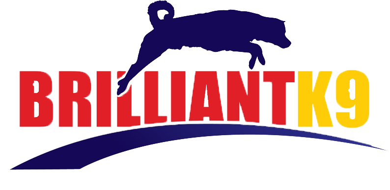 brilliantk9-banner-png