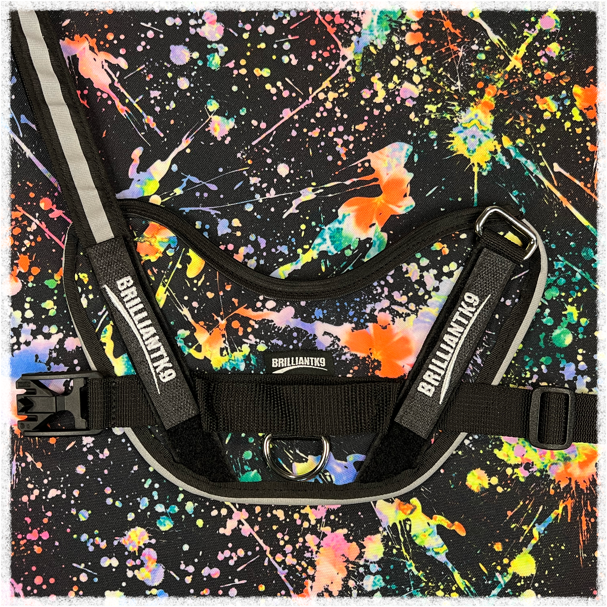 Oliver small dog harness in galactic splash