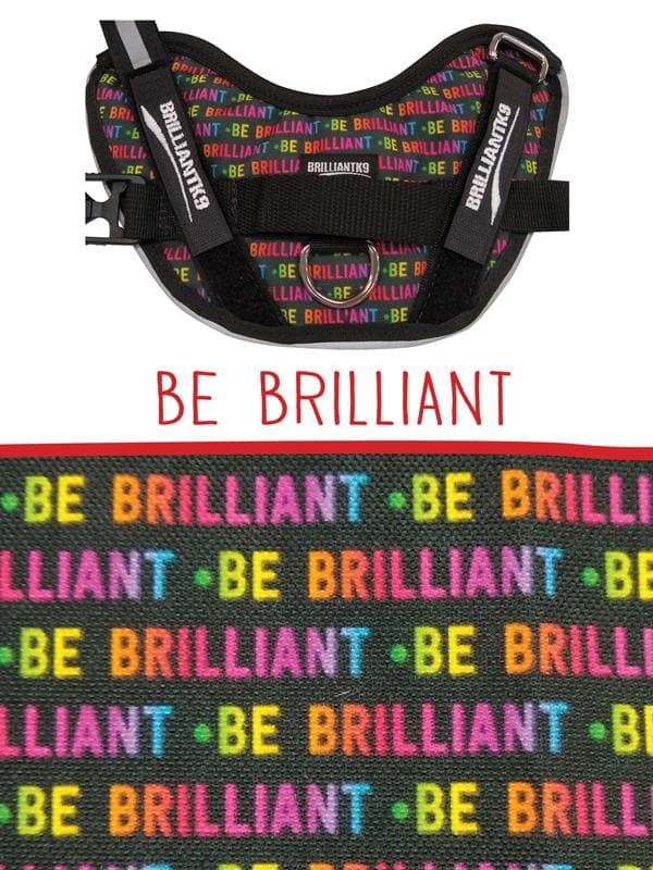 Lucy Toy Service Dog Vest in Be Brilliant