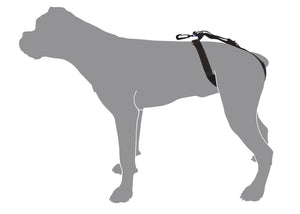 Dog Rear Lift Harness