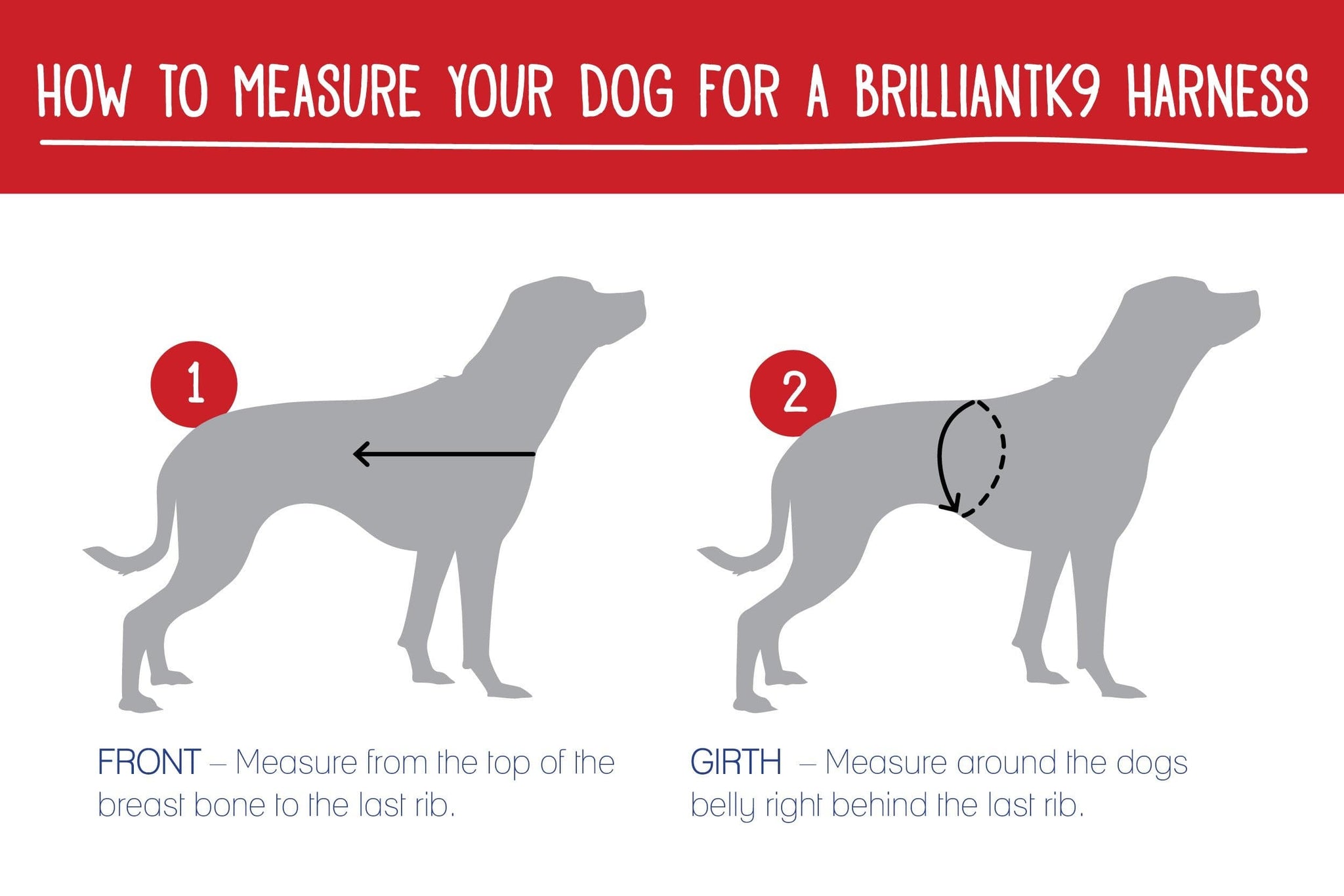 Graphic for measuring dogs for a Brilliant K9 harness