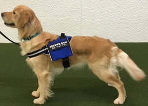 Dixie Service Dog Harness Vest worn by a dog