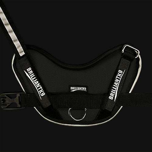 medium-sized dog harness in Black Knight