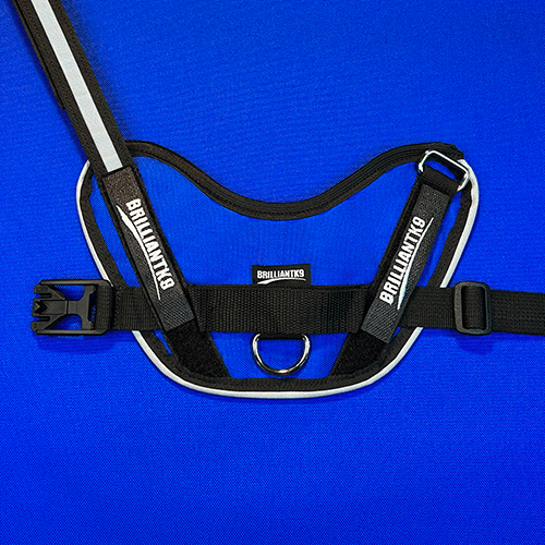 Mid-Sized Ares Sport Dog Harness in cobalt blue