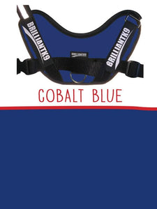 Lucy Toy Service Dog Vest in cobalt blue