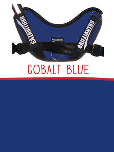 Extra-Large Service Dog Vest in cobalt blue