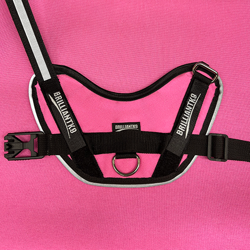 Petite Size Dog Harness in neon pink