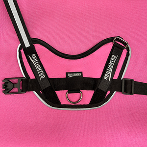 Oliver small dog harness in cosmic pink