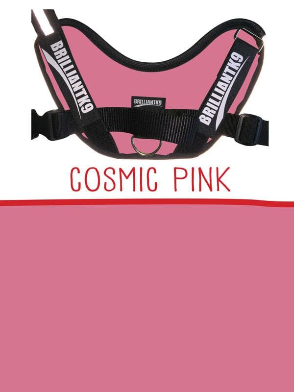 Lucy Small Service Dog Vest in cosmic pink