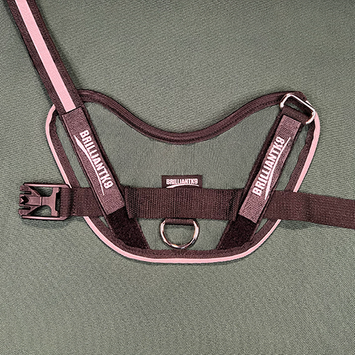 medium-sized dog harness in forest green