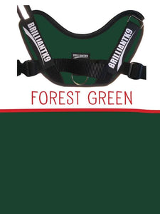 Oliver Little Dog Service Dog Vest in forest green