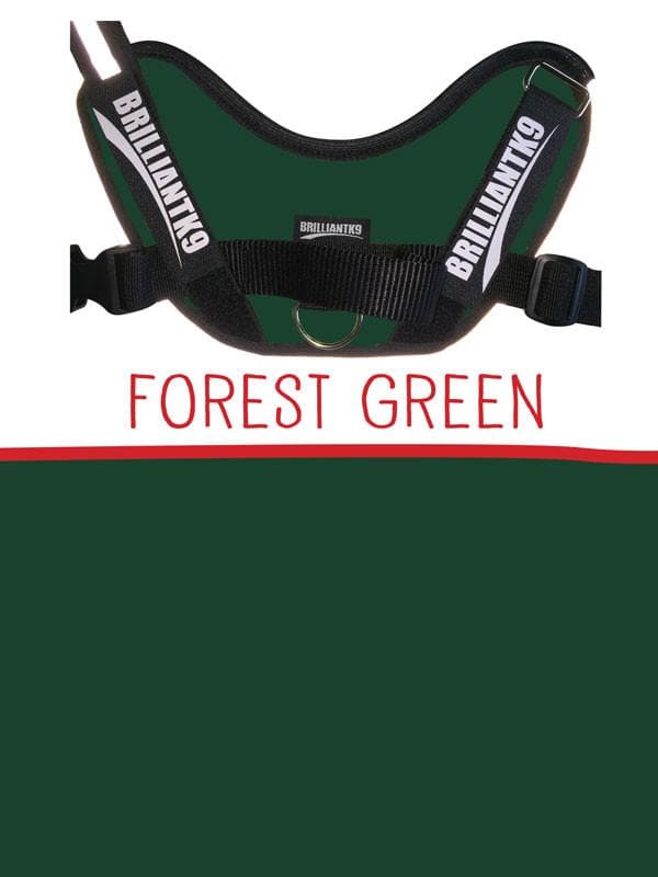 Lucy Medium Service Dog Vest in forest green