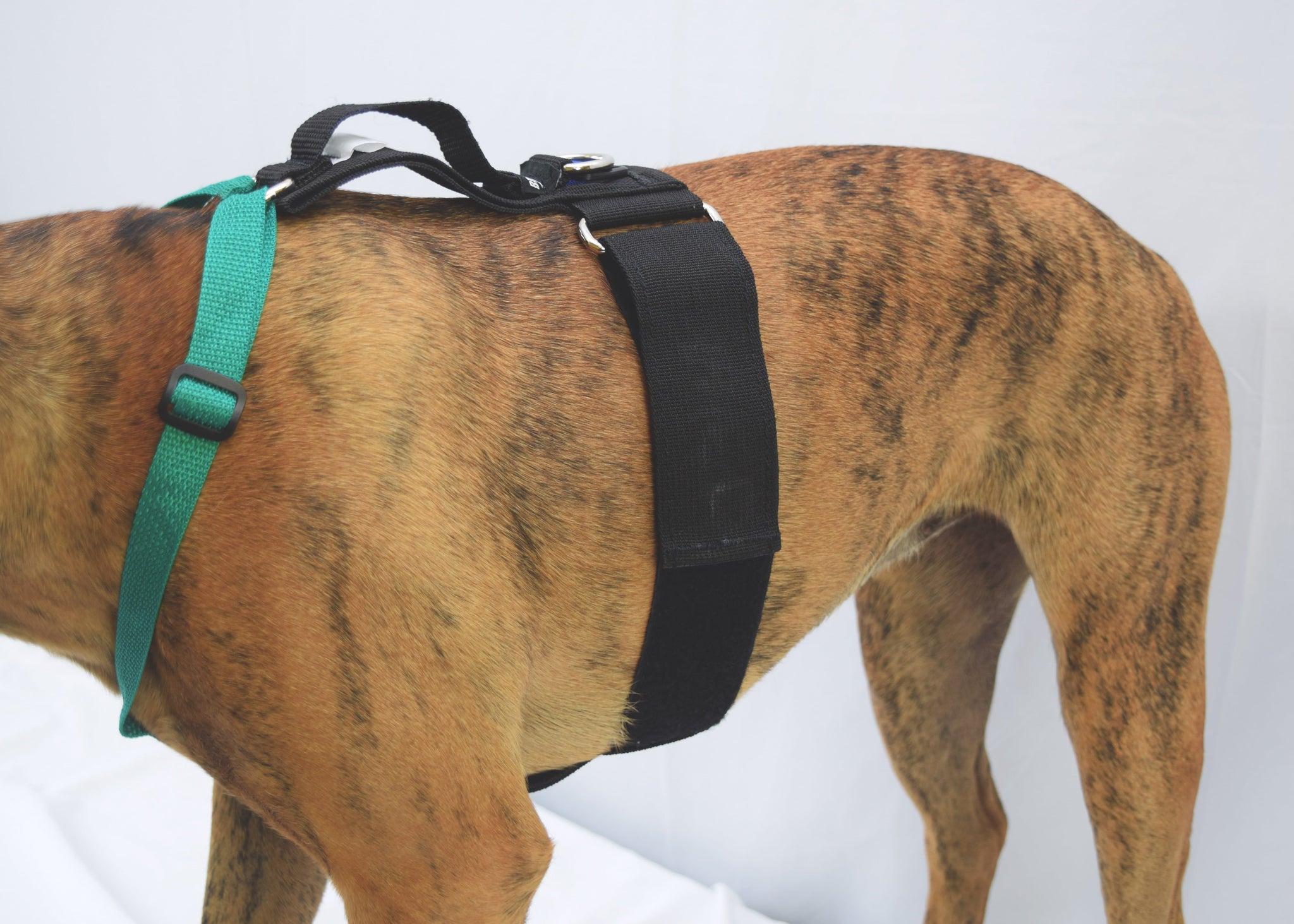dog mobility harness