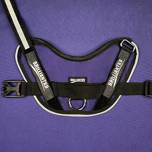 medium-sized dog harness in Grape Purple
