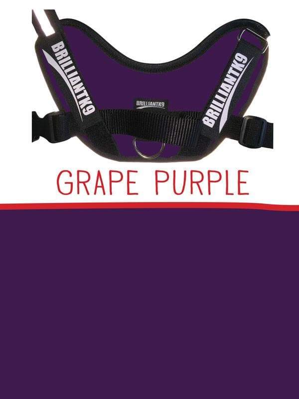 Finn Tiny Service Dog Vest in grape purple