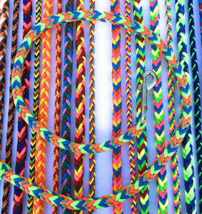 Braided Paracord Leashes