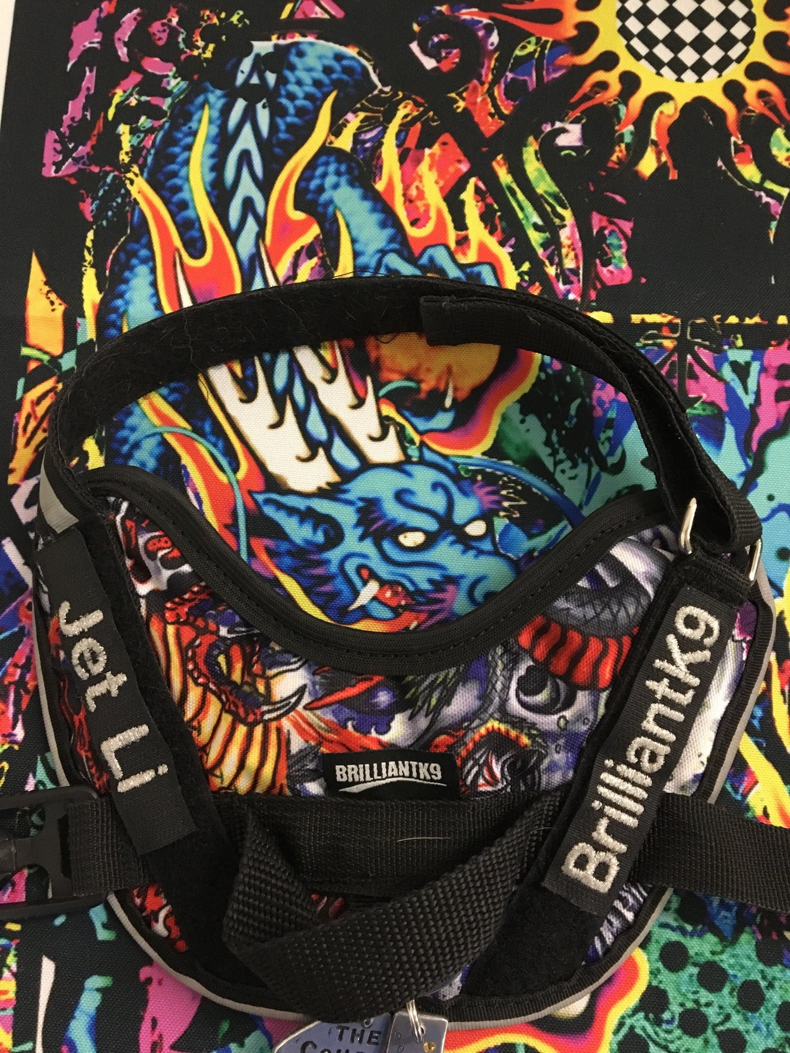 matching harness and backpack in custom print fabric