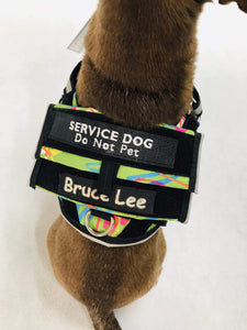 Finn Tiny Service Dog Vest Top View