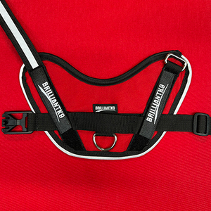 No-Pull Small Dog Harness in lipstick red