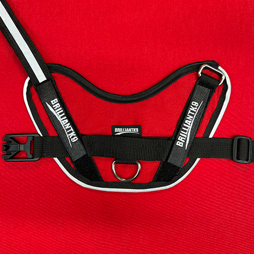 Mid-Sized Ares Sport Dog Harness in lipstick red