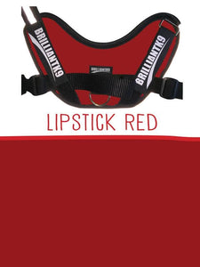 Oliver Little Dog Service Dog Vest in lipstick red