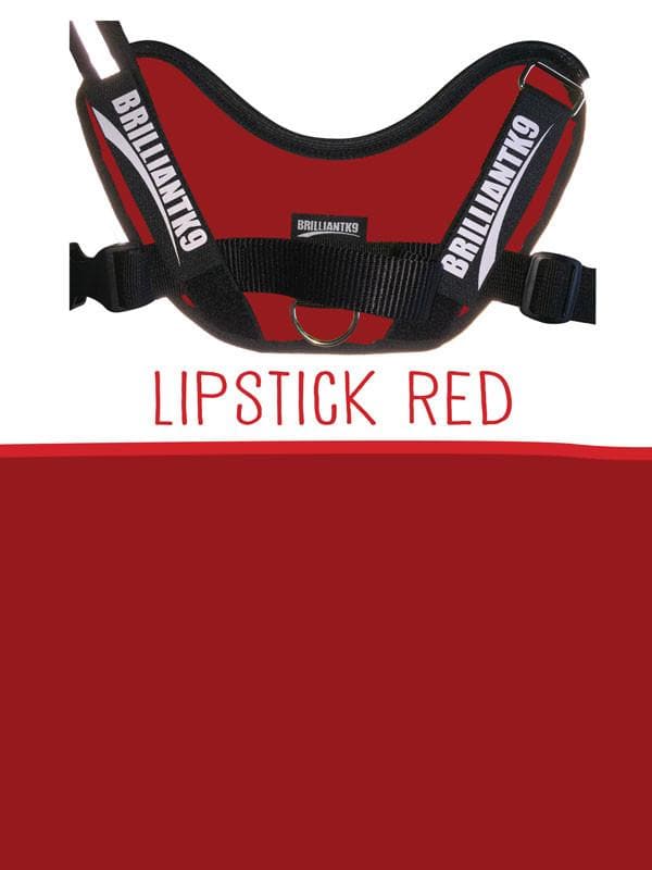 Lucy Medium Service Dog Vest in lipstick red
