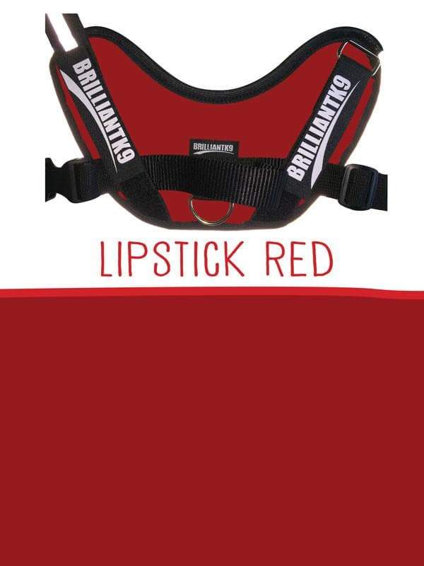 Snugg Medium Service Dog Vest in lipstick red