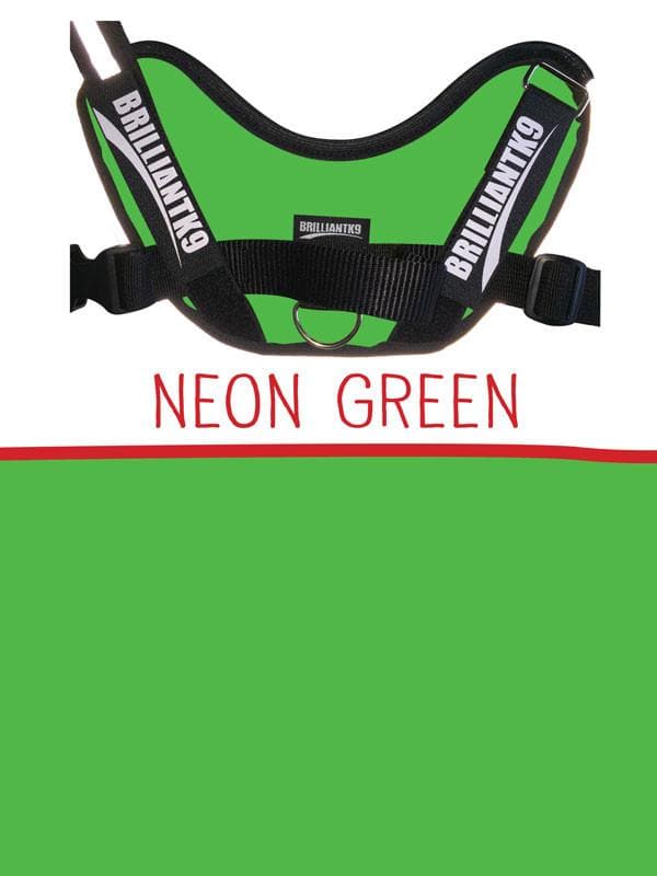 Lucy Large Service Dog Vest in neon green