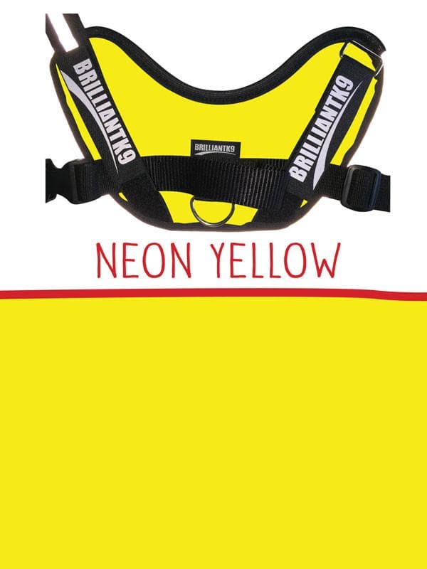 Large Service Dog Vest in neon yellow