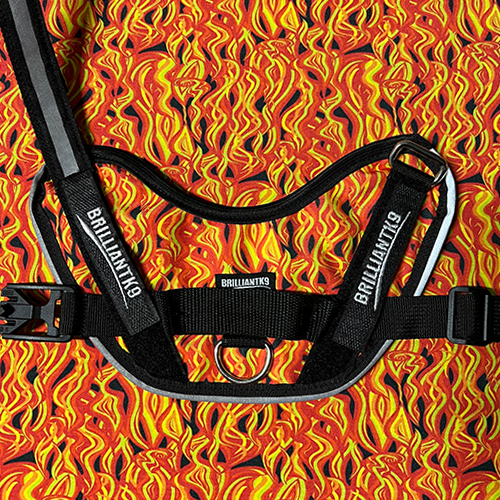 Oliver small breed harness in On Fire