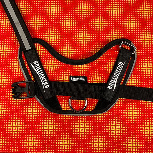 Mid-Sized Ares Sport Dog Harness in optic orange