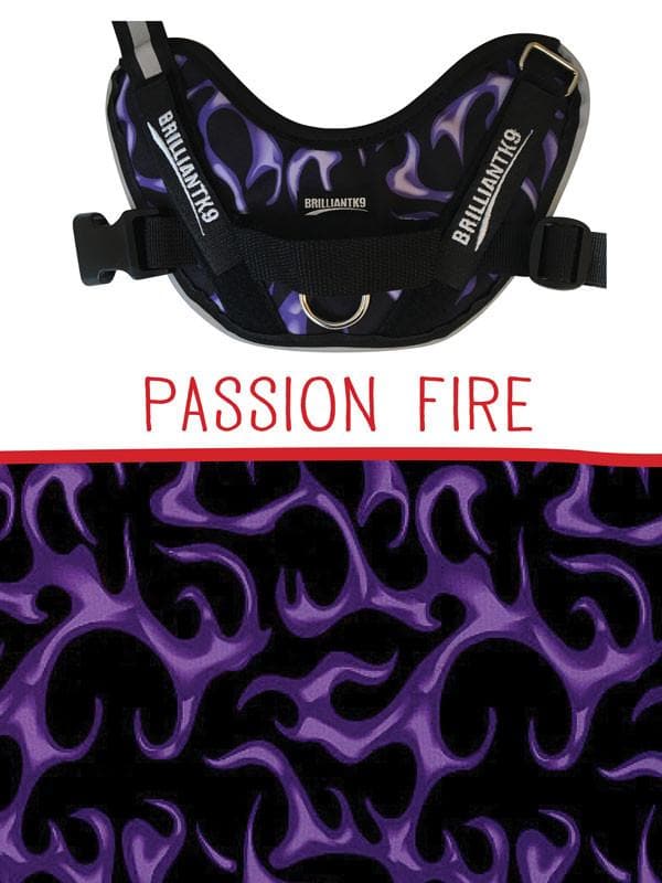 Lucy Petite Service Dog Vest in passion fire