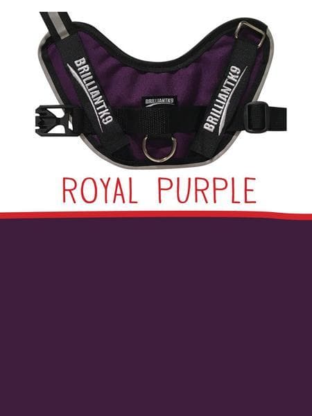 Large Service Dog Vest in royal purple