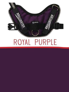 Finn Tiny Service Dog Vest in royal purple
