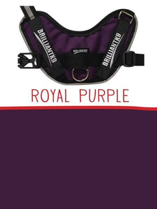Lucy Toy Service Dog Vest in royal purple
