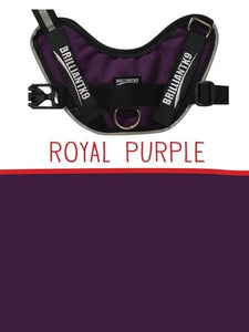 Extra-Large Service Dog Vest in Royal Purple