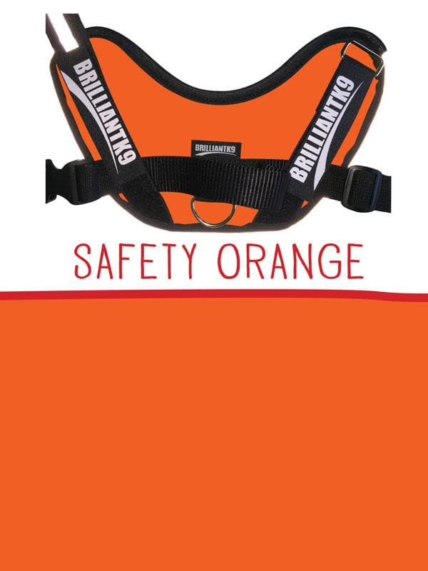Medium Service Dog Vest in safety orange