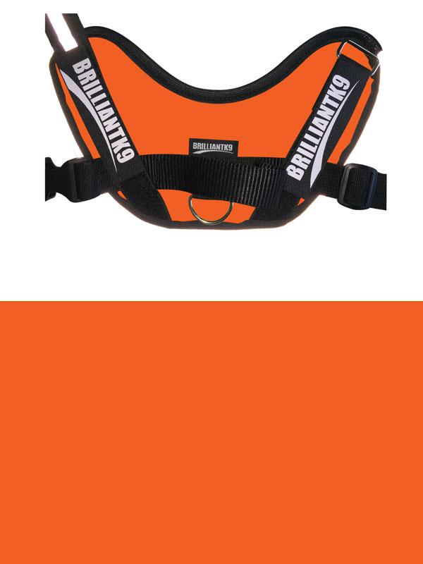 Garminn dog detection vest in Safety Orange