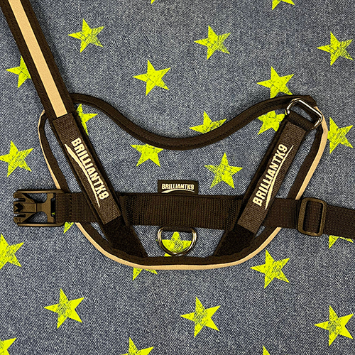 Snugg Dog Harness in star chief
