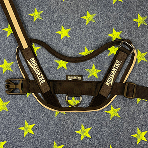 Mid-Sized Ares Sport Dog Harness in Star Chief