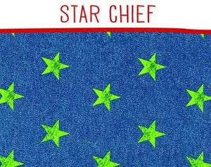 Service Dog Saddle Bags in star chief