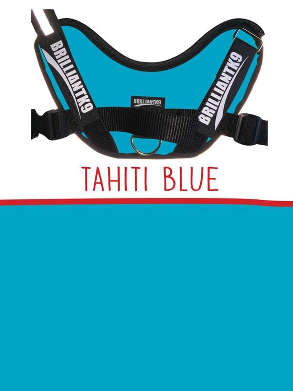 Extra-Large Service Dog Vest in Tahiti blue