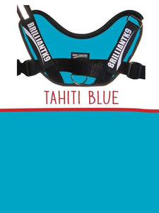 Snugg Medium Service Dog Vest in Tahiti blue