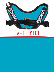 Oliver Little Dog Service Dog Vest in Tahiti blue